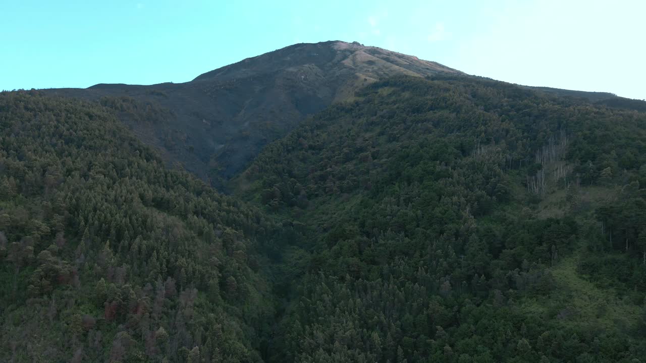 bosque que cubre la montaña sumbing con área quemada visible, vista aérea de avión no tripulado