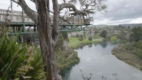 Una-Toma-De-Una-Plataforma-De-Salto-En-Bungy-Sobre-El-Río-Waikato-Cuando-Alguien-Se-Sale-Del-Encuadre