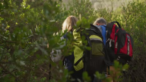 active senior couple hiking in forest