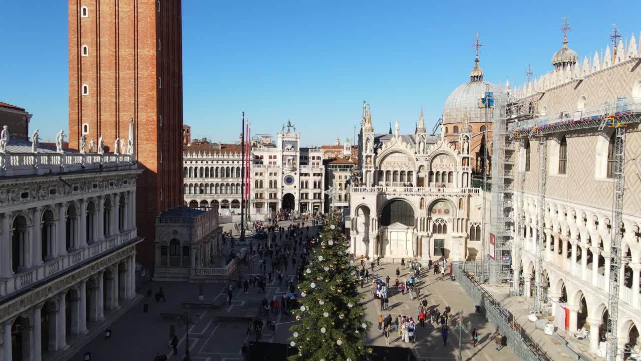 Birds flying over Piazza San Marco