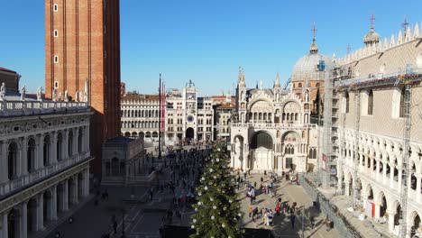 los pájaros volando sobre la plaza de san marco