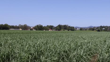 agricultural field with changing sunlight and shadows