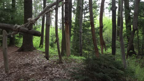 pieces of wood swinging under the effect of the wind, hanging by a rope. in the background, there is a lush and abundant forest