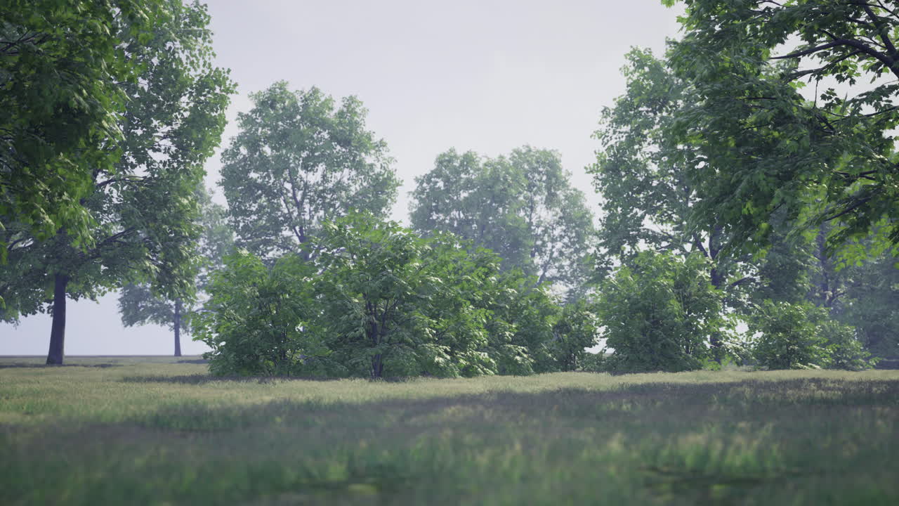 Tranquil landscape with lush greenery trees and a soft sky