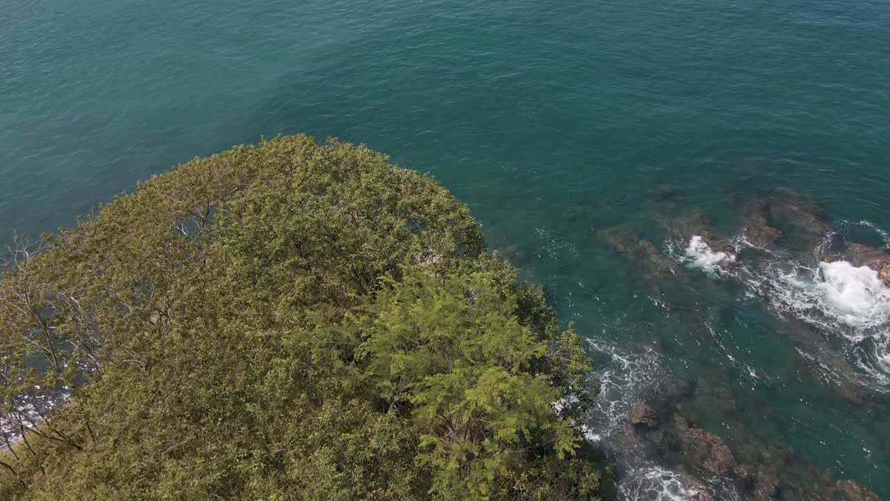 가파른 절벽면과 바위면에 부딪히는 파도를 드러내는 나무 위를 천천히 이동합니다.