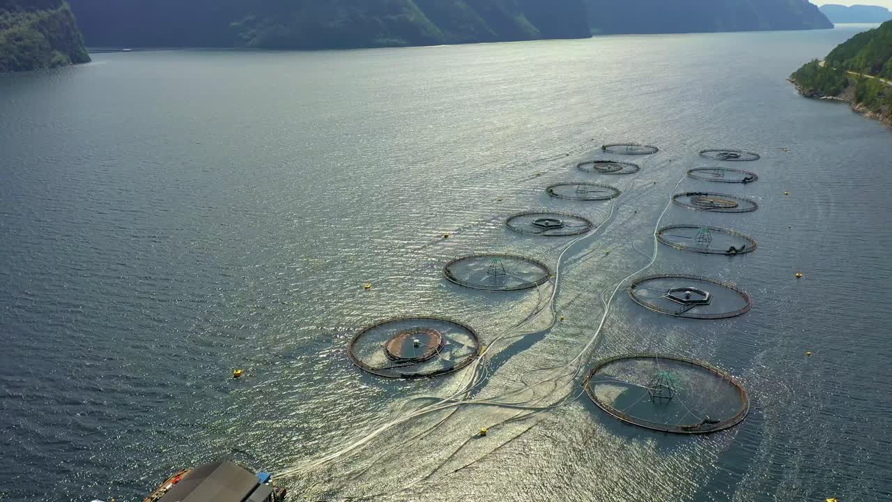 노르웨이에서 연어  ⁇ 시를 하는 공중 촬영