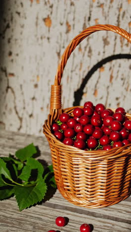 cerezas frescas en una canasta