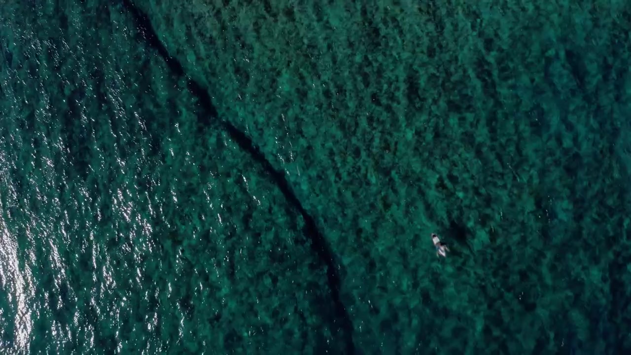 Ripresa zenitale dall'alto con drone di un'onda turchese che si infrange sulla barriera corallina di Teahupoo, Tahiti, con la schiuma che si arriccia lungo la scura linea del tubo