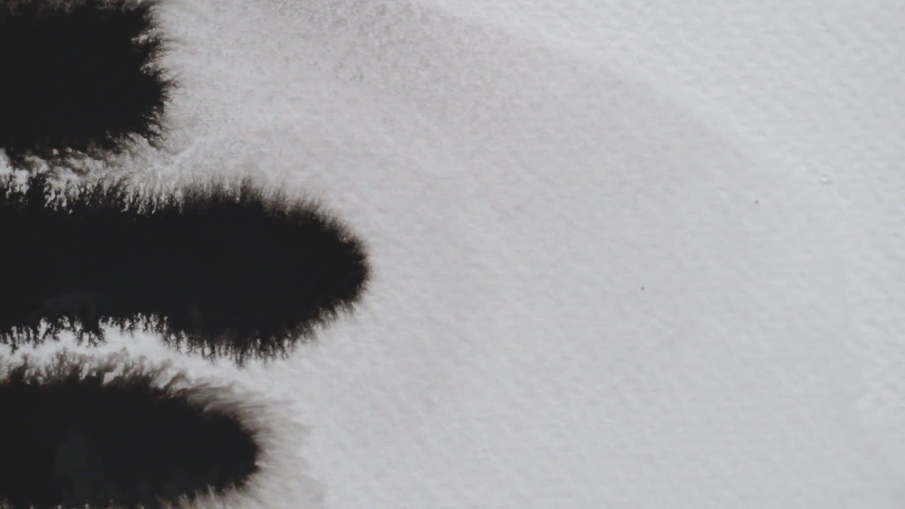 거대한 검정 잉크 모양 얼룩과 선이 질감 있는 흰색 창의적 종이에 떨어지고 스며드는 모습을 닫습니다.