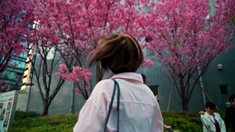 woman walking under cherry blossom trees in a city