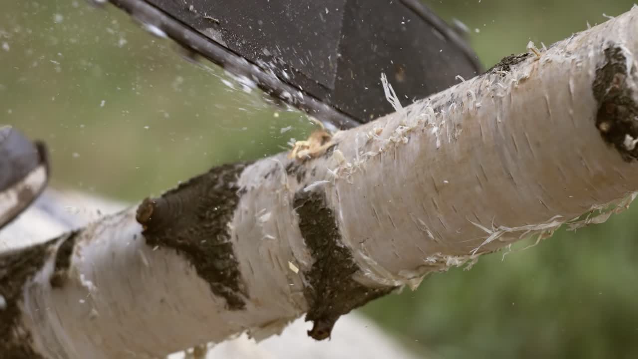 나무 는 사람은 에 있는 전기 체인 로 나무를 는다. 은 자유 낙하, 절단, 화재 휴식 및 연료 수확과 같은 활동에 사용된다. 슈퍼 슬로 모션 1000 fps로 촬영된다.