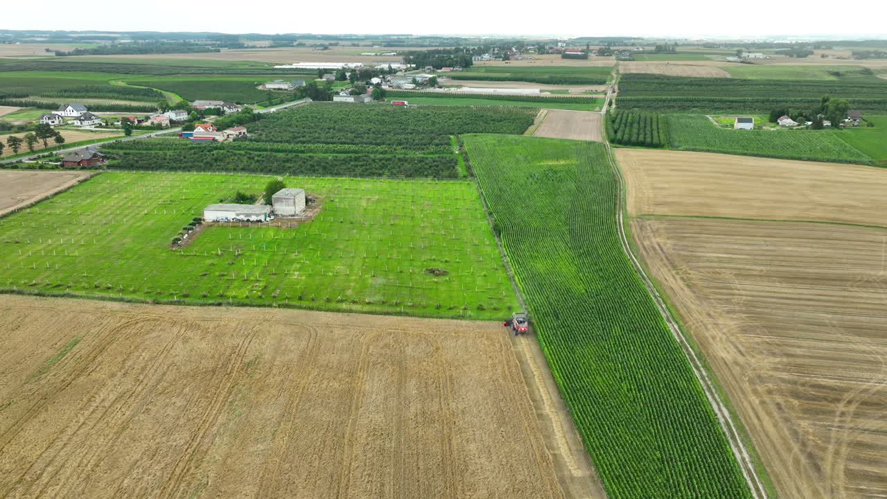 Vista aerea di una mietitrebbia che lavora in un campo di grano adiacente a un frutteto verde lussureggiante.