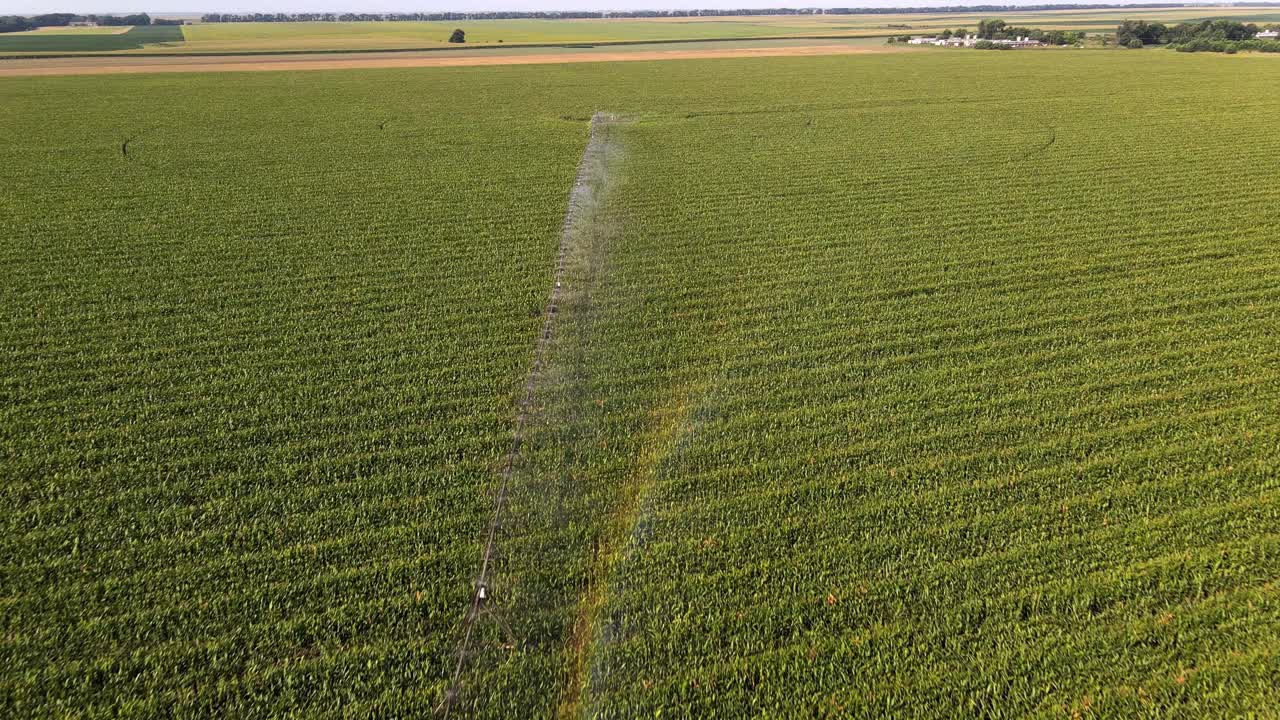 Aerial View of Corn Field Irrigation with Rainbow