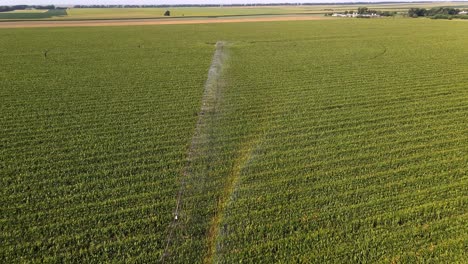 aerial view of corn field irrigation with rainbow