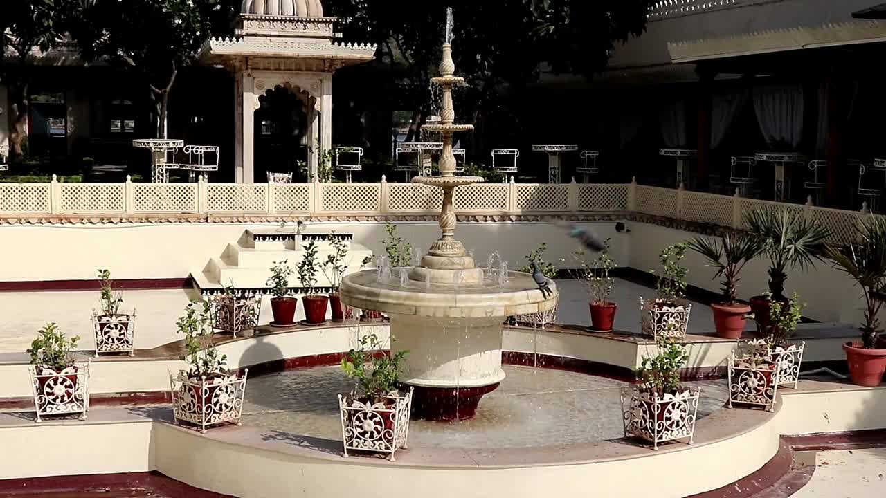 fuente de agua de estilo indio donde las palomas se bañan