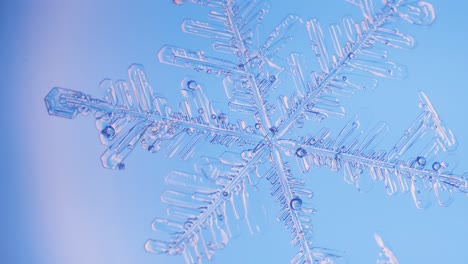 Copo-De-Nieve-De-Cerca-Bajo-El-Microscopio-Vista-Panorámica-Fondo-Azul-Detalles-Finos