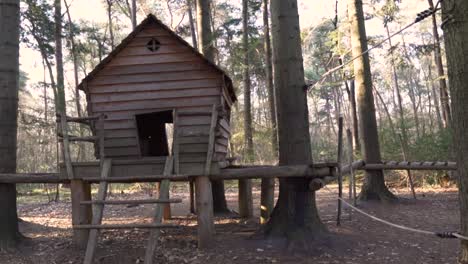 área de juegos de madera en un bosque