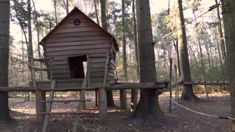 wooden play area in a forest