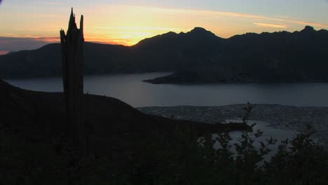 Ein-Gebrochener-Stumpf-Steht-In-Silhouette-Vor-Einem-Grauen-Himmel-Im-Nationalpark-Mt.-St-Helens-National