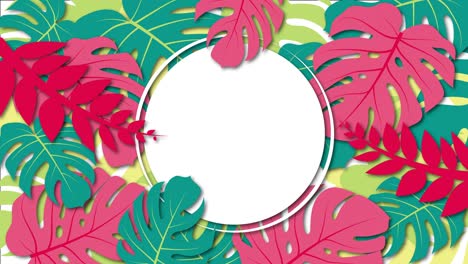 tropical foliage background with circle copy space in the middle spinning seamless looping