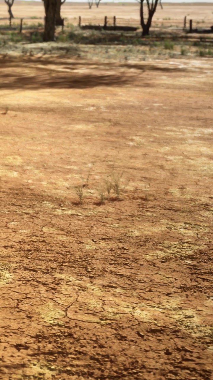 The scene shows dry ground with cracks and a few small plants