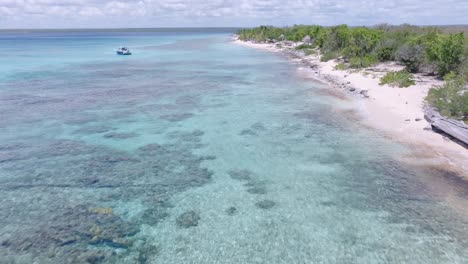 Luftaufnahme-Des-Strandes-Mit-Klarem-Wasser-Und-Felsigem-Meeresboden-Auf-Der-Insel-Catalina,-Dominikanische-Republik