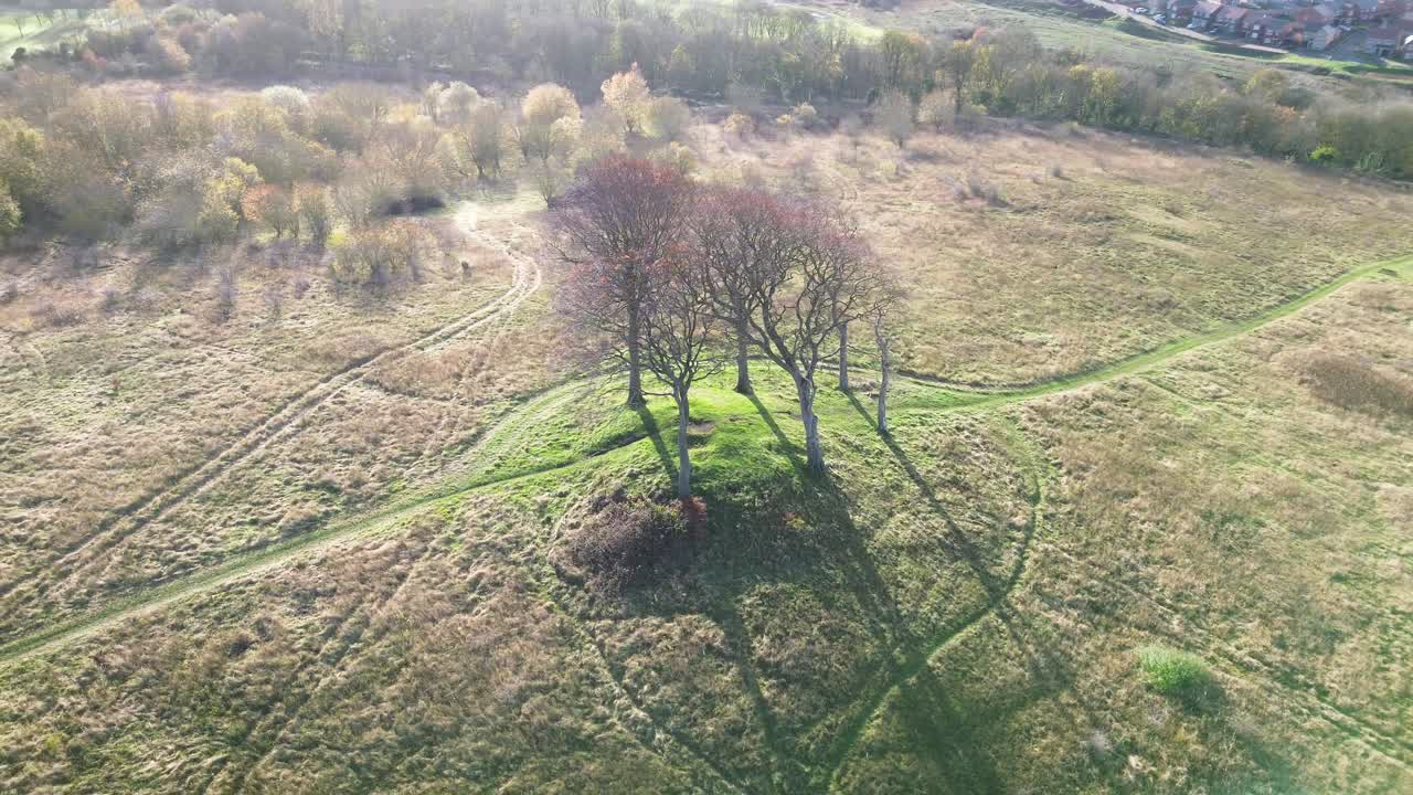 Aerial circling 6 lone trees on ancient burial site on hilltop. Seven Sisters - Houghton-Le-Spring, UK