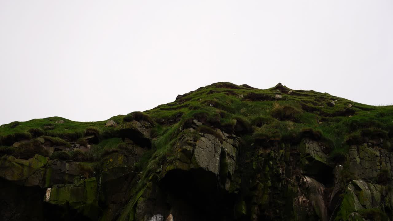 Upward shot capturing a Puffin perched at the cliff's edge