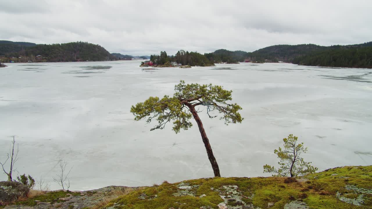 Staattinen maisema: Vollsfjorden, Norja. Vuono, vesi, puita taustalla. Rauhallinen pohjoismainen luonto.