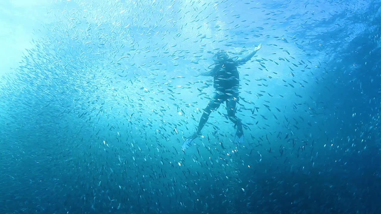 멕시코 다이빙 0 15