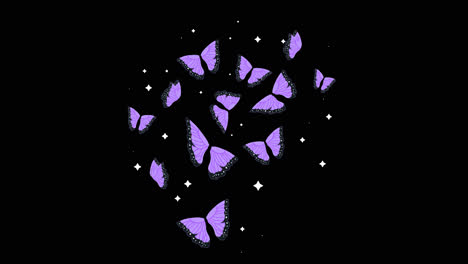 purple butterflies on black background