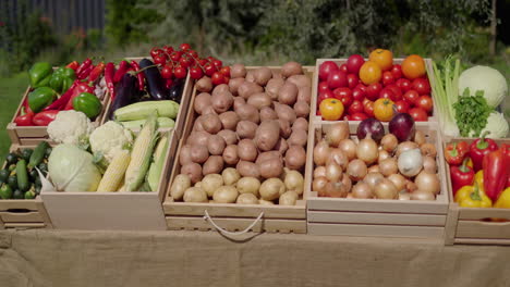 Ein-Stand-Mit-Verschiedenen-Gemüsesorten-Auf-Einem-Bauernmarkt.-Vorderansicht