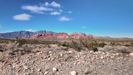 red rock canyon desert in spring