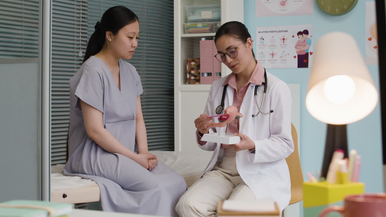 Doctor explaining uterus model to patient