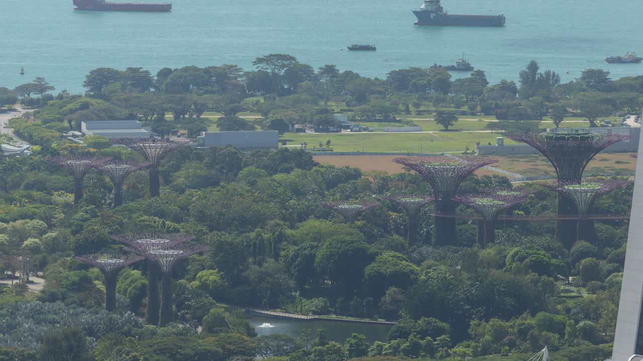 timelapse zoomed into the gardens by the bay in singapore