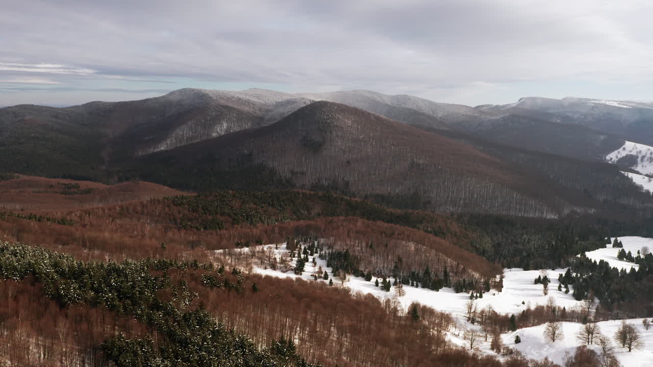 paso elevado panorámico de invierno sobre una cordillera boscosa y nevada
