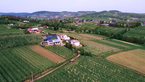 Blühende-Apfelbaumfelder,-Atemberaubende-Luftaufnahme