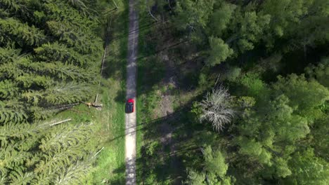 imágenes de drones de arriba hacia abajo siguiendo a un auto rojo en un estrecho camino de grava en un bosque de pinos
