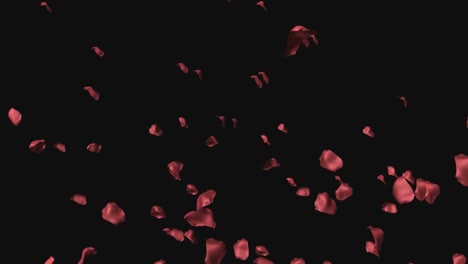 3d animation of rose petals