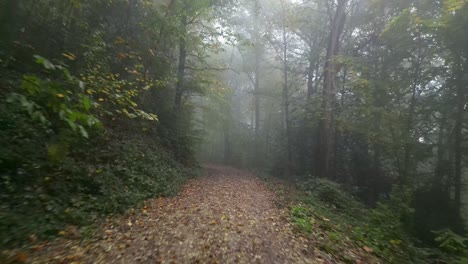 Drone-following-pathway-through-woods