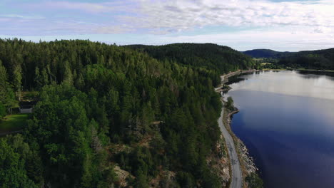 aerial view of evergreen tree forest next to blue lake, zooming out