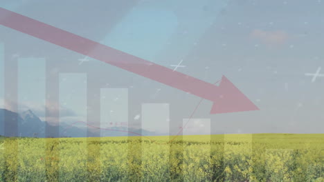 animation of arrow and financial data processing over field in countryside