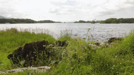 scenic view of lough leane lake near ross castle in killarney national park, county kerry, ireland