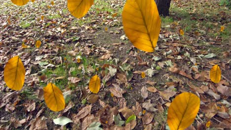 animation of autumn leaves falling against close up view of fallen leaves on the ground