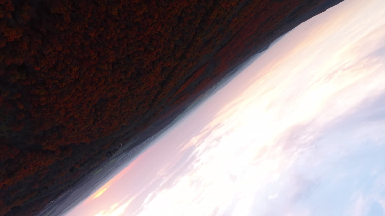Vast woodland colored red in autumn season. Tumbling footage over the scenery at sunset time