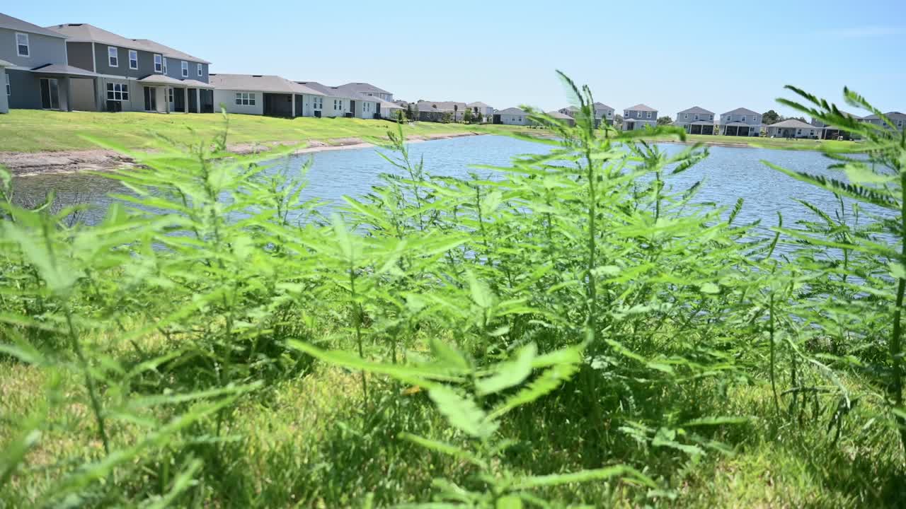 남부 플로리다의 유지 보수되지 않은 잔디 ⁇ 에 대한 위반