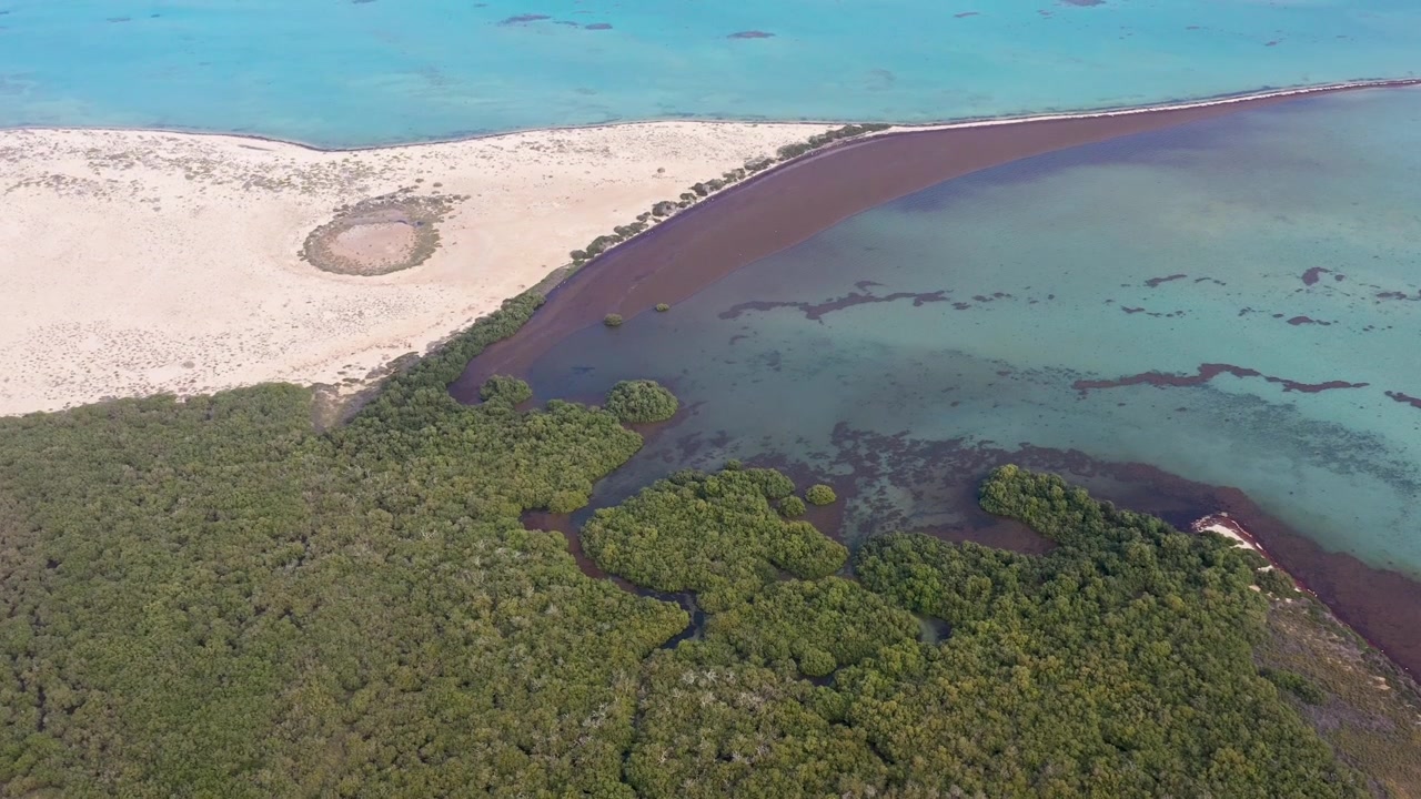 Regione di Aseer, Arabia Saudita. Ripreso con drone, questo video mette in evidenza la mozzafiato regione di Aseer in Arabia Saudita, caratterizzata da montagne lussureggianti, paesaggi unici e una ricca cultura. Ideale per il turismo.