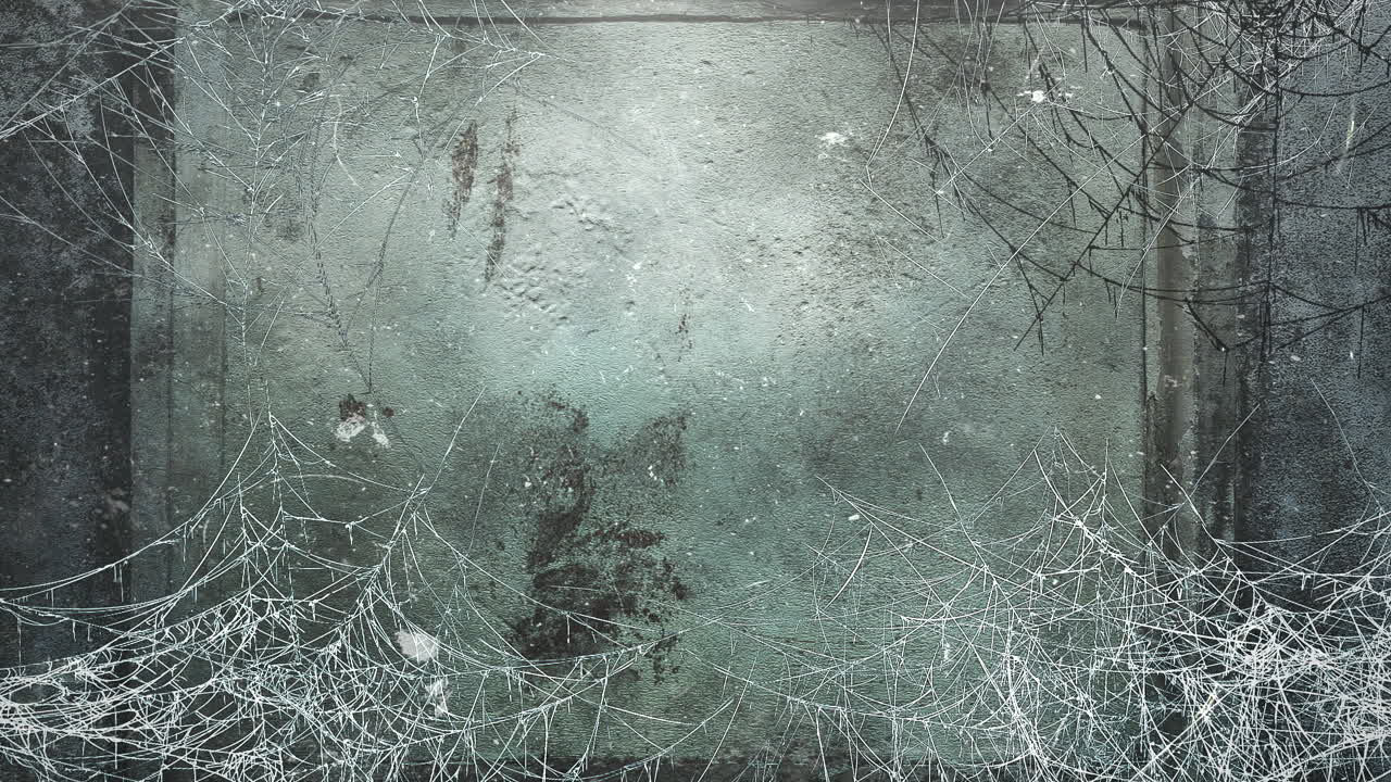 어두운 거미줄과 모션 카메라 2가 있는 신비로운 공포 배경