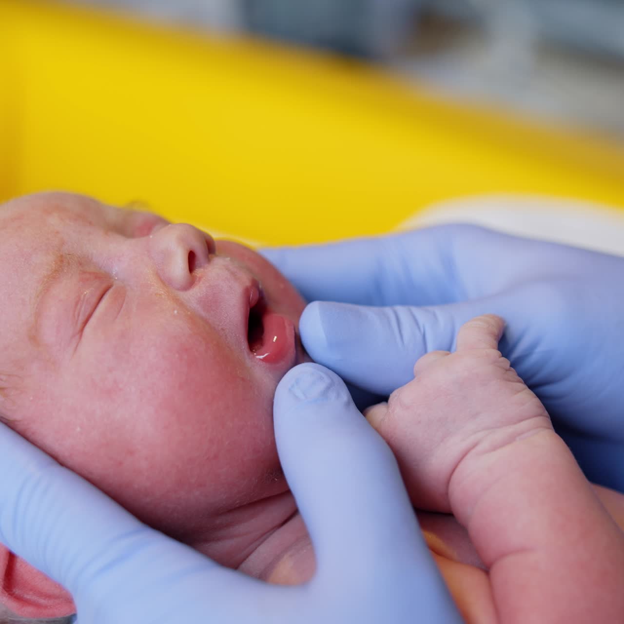 Maternity professional pediatrcician. Small newborn baby hospital examining