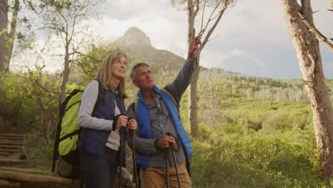 pareja de ancianos activos haciendo senderismo en el bosque